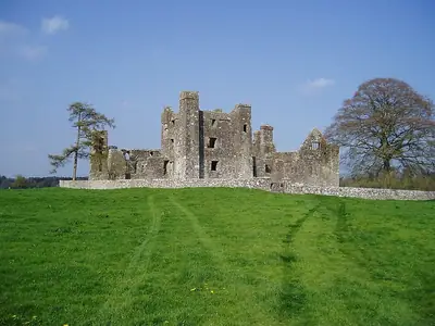 أطلال Bective Abbey في وادي Boyne، موقع من العصور الوسطى قرب Bohermeen؛ لا توجد صورة حرة لمكان الإقامة نفسه