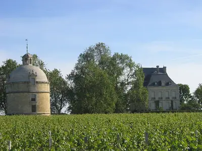 Château Latour في Pauillac