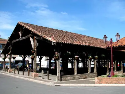 قاعة السوق التاريخية في Châtillon-sur-Chalaronne