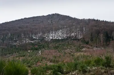 التل المشجر لأوبيدوم Châtelard في Courzieu