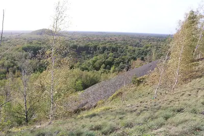 ممر في غابة Raismes-Saint-Amand-Wallers