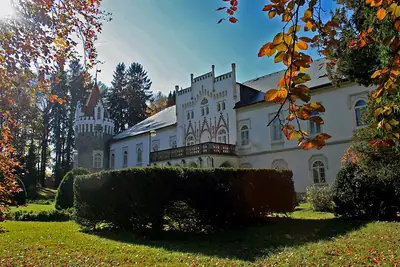 Chateau Herálec، الشاتو التاريخي في قرية Herálec بفيسوتشينا
