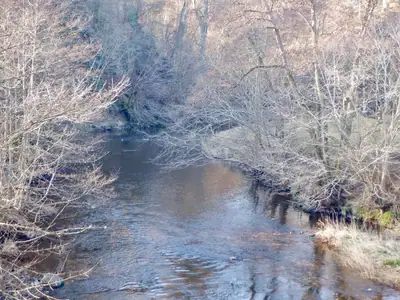 Jed Water، النهر الذي تستمد منه Jedburgh اسمها، قرب موقع الإدراج