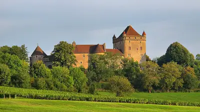 Château du Pin فوق الكروم