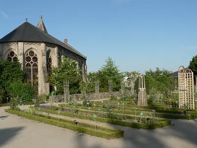 الحديقة النباتية في Jardins de l’Évêché بليموج