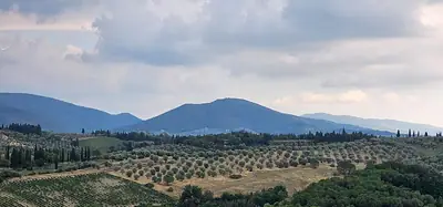 تلال Monte Colegale في بلدية Impruneta