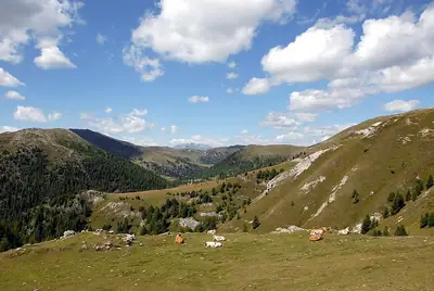 منظر طبيعي في Nockberge، غير بعيد عن Zedlitzdorf