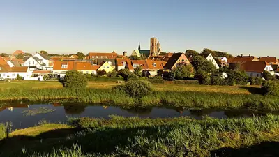 منظر فوق أسطح Ribe
