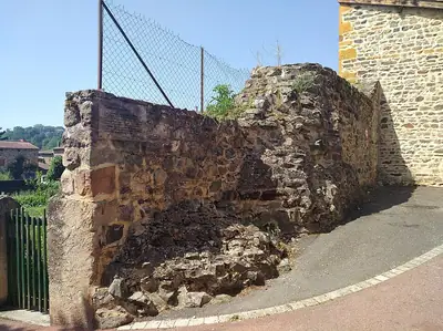 بقايا كنيسة الدير القديمة Saint-Martin في Savigny