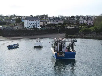 الميناء في Schull