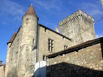 Château de Xaintrailles وبرجه الحصين